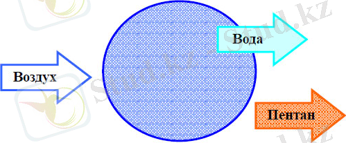 Рис.2. Гранула пенополистирола на стадии вылеживания