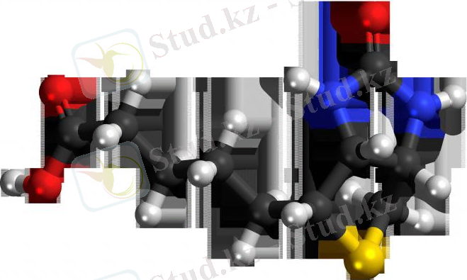дәріханада кезінде Н дәрумені
