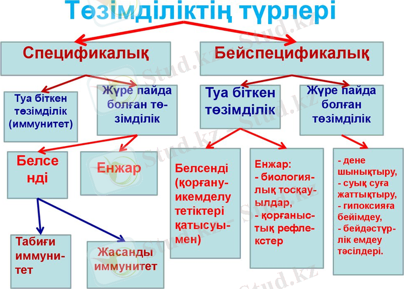 Төзімділіктің түрлері