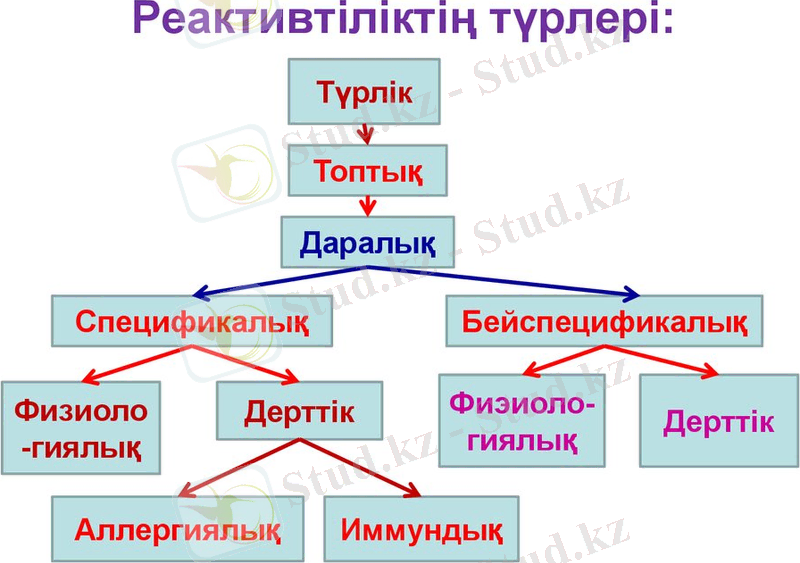 Реактивтіліктің түрлері: