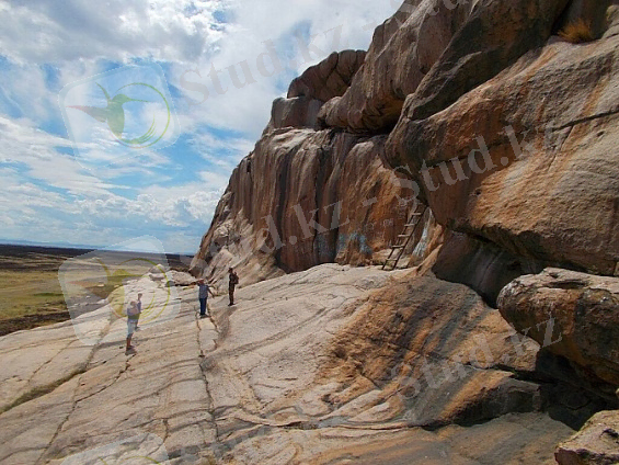 Картинки по запросу "боритастаган"