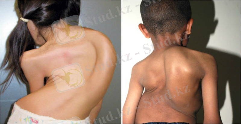 D:\Desktop\Новая папка\22.jpg