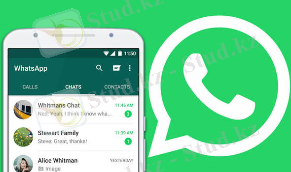 WhatsApp туралы қызықты деректер