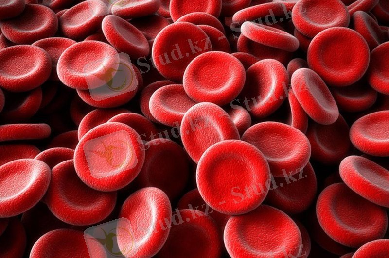 Қан туралы қызықты мәліметтер | FAKTILER.KZ