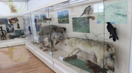 Шығыс Қазақстан облысы, Аягөз қаласындағы Семейдің облыстық тарихи-өлкетану музейдің филиалы - Семейдің облыстық тарихи-өлкетану музейі