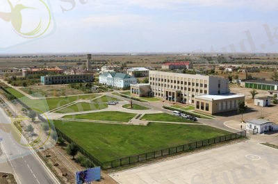 Курчатов: трагедия прошлого, надежда будущего – Semeyainasy