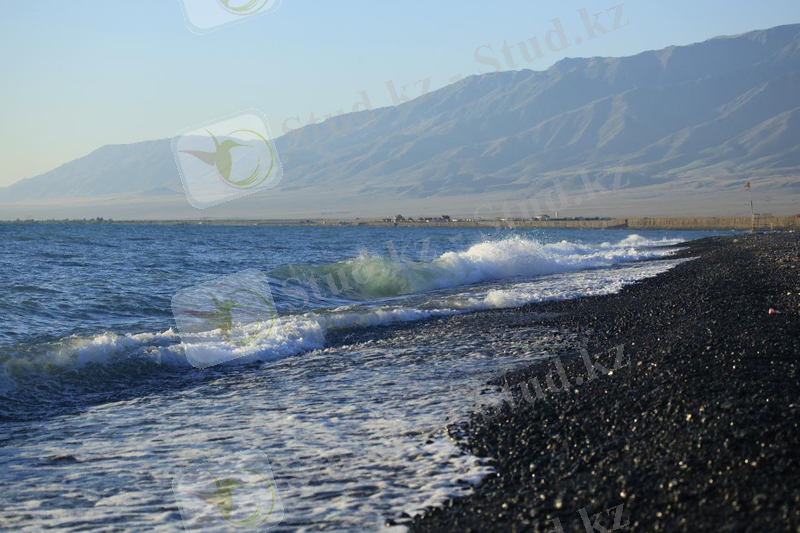 Алакөл» мемлекеттік табиғи қорығы