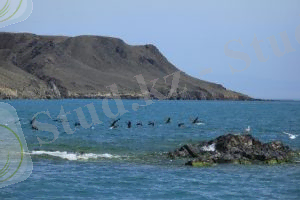 АЛАКӨЛ – ТАРИХ ПЕН ТУРИЗМ МЕКЕНІ | Қазақ Әдебиеті - QazaqAdebieti