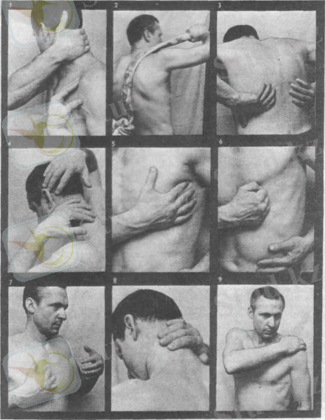 4_6legkie_clip_image002