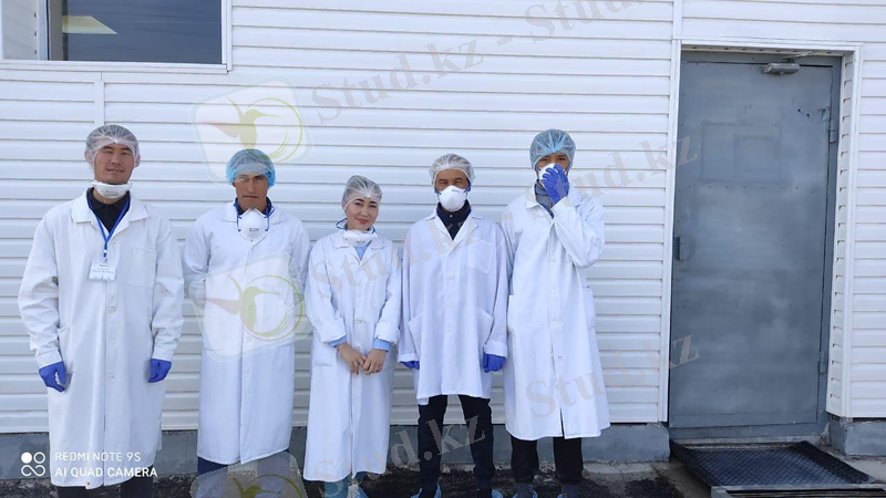 C:\Users\Gabit Mukanov\Pictures\IMG-20210503-WA0037.jpg