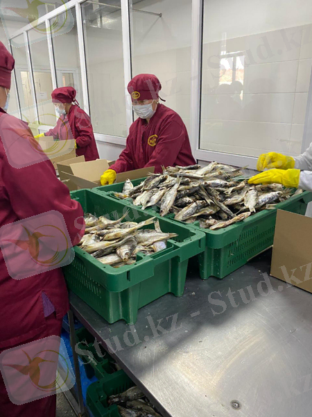 C:\Users\Gabit Mukanov\Pictures\PHOTO_2020_03_12_09_11_28-_1_.jpg