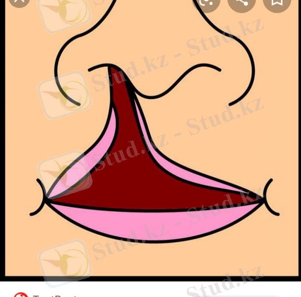 C:\Users\naske\Desktop\kjj\WhatsApp Image 2020-09-17 at 01.56.24.jpeg