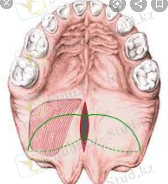 C:\Users\naske\Desktop\kjj\WhatsApp Image 2020-09-17 at 01.56.24 (1).jpeg