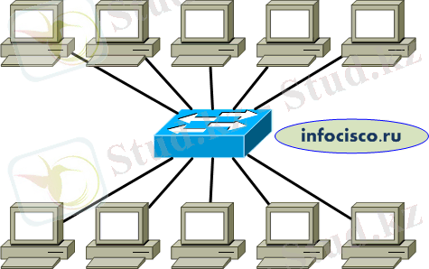 10 компьютеров объединенные в сеть с помощью коммутатора