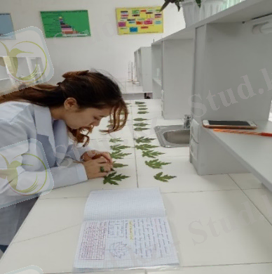 C:\Users\Rench\AppData\Local\Packages\5319275A.WhatsAppDesktop_cv1g1gvanyjgm\TempState\E97EE2054DEFB209C35FE4DC94599061\Изображение WhatsApp 2022-10-30 в 13.38.43.jpg