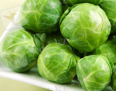 http://www.massaget.kz/userdata/uploads/u51387/roasted-brussels-sprouts-fd-lg-1.jpg