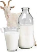 C:\Users\yakib\Desktop\Без названия (2).jpg