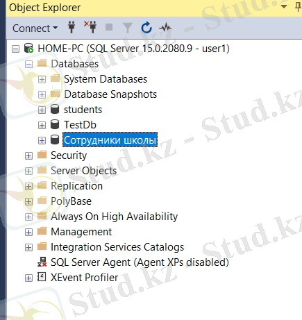 Изображение выглядит как текст Автоматически созданное описание