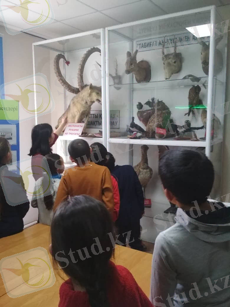 D:\Айнура 2018-2019\БЖШО\скрабукинг\IMG-20190327-WA0017.jpg