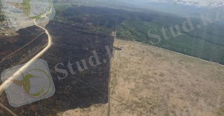 WhatsApp Image 2022-11-08 at 18.54.18.jpeg