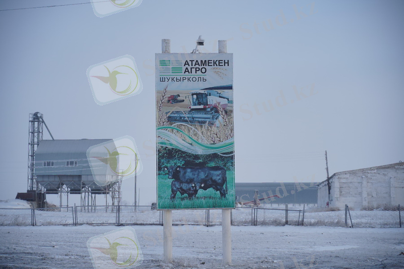 В «Атамекен Агро» оценили ущерб от экспортных ограничений