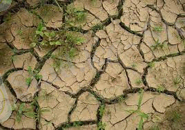 C:\Users\Admin\Downloads\Без названия (5).jpg