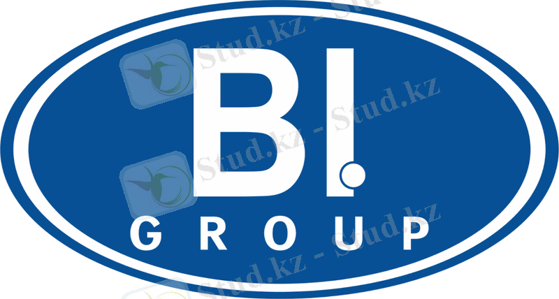 BI Group холдингі туралы | 7kun.kz