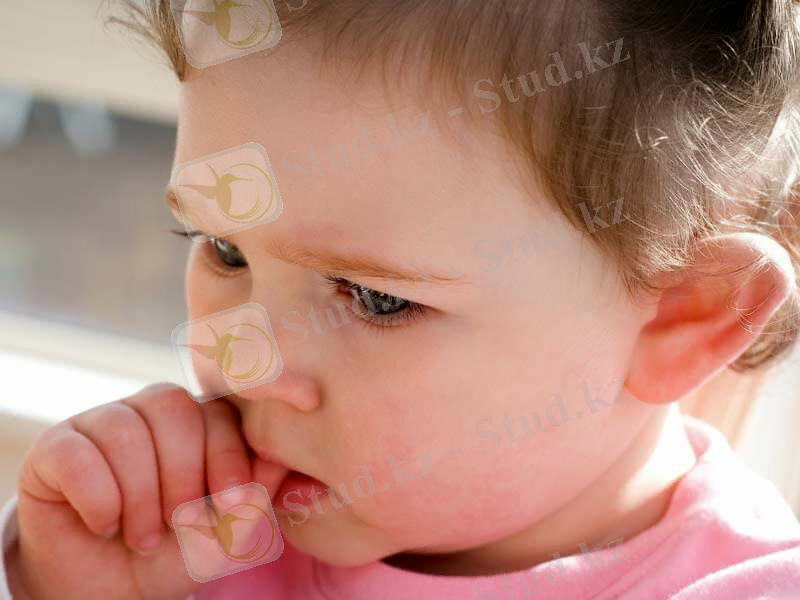 D:\киви\авторлык багдарлама\2019 сентябрь УРА\матинмен жумыс мадина\original.jpg