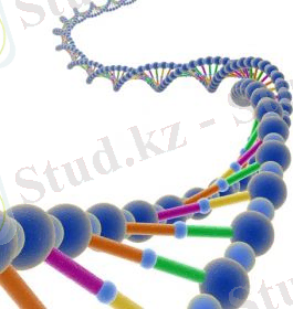 Молекулярная биология и генетика – залог успеха в лечении рака в Германии - MedHaus, Germany