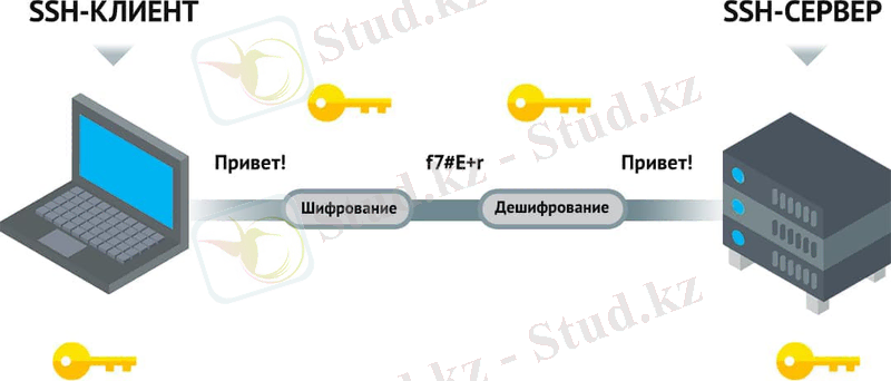 SSL-шифрование