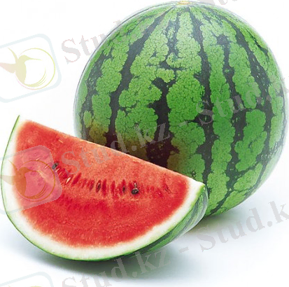 ءسىز دە قاربىزدان قورقاسىز با؟