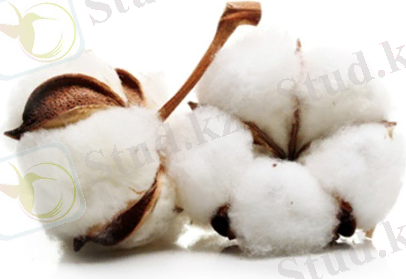 All about cotton - Tricorp