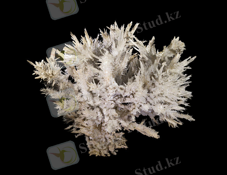 Описание: &Scy;&ucy;&rcy;&iecy;&tcy;:Aragonite Salsigne France.jpg