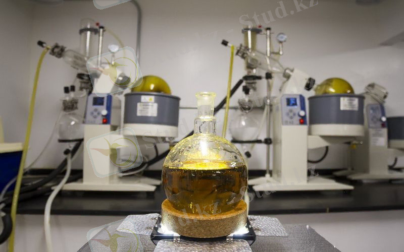 C:\Users\User\Downloads\WhatsApp Image 2023-10-10 at 19.05.30.jpeg