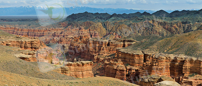 ÐÐ°ÑÑÐ¸Ð½ÐºÐ¸ Ð¿Ð¾ Ð·Ð°Ð¿ÑÐ¾ÑÑ ÑÐ°ÑÑÐ½ ÑÐ°ÑÒÐ°Ð»Ñ