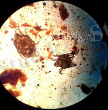 C:\Users\WW\Downloads\images.jfif