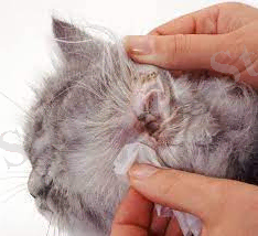 C:\Users\WW\Downloads\Без названия (3).jfif