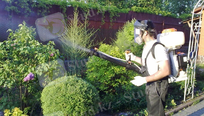 Методы борьбы с вредителями и болезнями растений