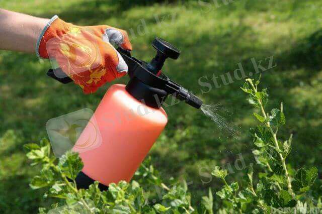 Применение пестицидов для борьбы с вредителями