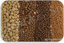 C:\Users\Ryzen\Downloads\Без названия.jpg