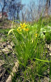 C:\Users\user\Downloads\images (2).jpg