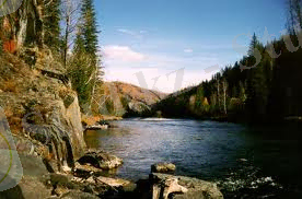 C:\Users\user\Downloads\images (3).jpg