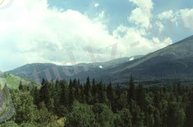 C:\Users\user\Downloads\images (6).jpg