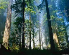 C:\Users\user\Downloads\загруженное (2).jpg