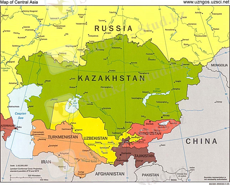 Картинка 5 из 4242