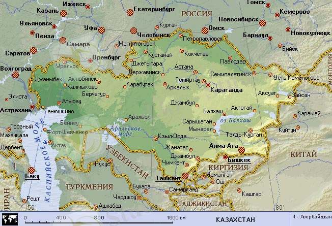 Картинка 9 из 4903