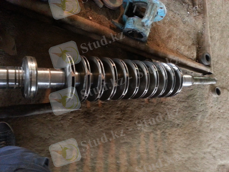 C:\Users\net\Desktop\3курс 1 семестр\практика отчет\20130525_115442.jpg