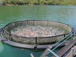 C:\Users\Абай\Downloads\гигиена\images (7).jpg