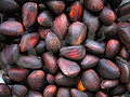http://upload.wikimedia.org/wikipedia/commons/thumb/8/86/Seeds_of_Pinus_sibirica.jpg/120px-Seeds_of_Pinus_sibirica.jpg