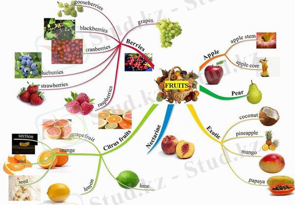 Жемістер - Fruit | Ағылшын тілін үйрен | QAZENG | ВКонтакте